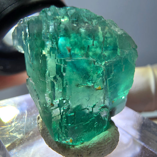 Cube de fluorite fantôme transparente parquetée, vert Okorusu, Namibie 23*20*20mm 
