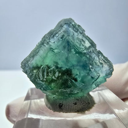 Cube de fluorite fantôme transparente parquetée, vert Okorusu, Namibie 18 x 18 x 14 mm 