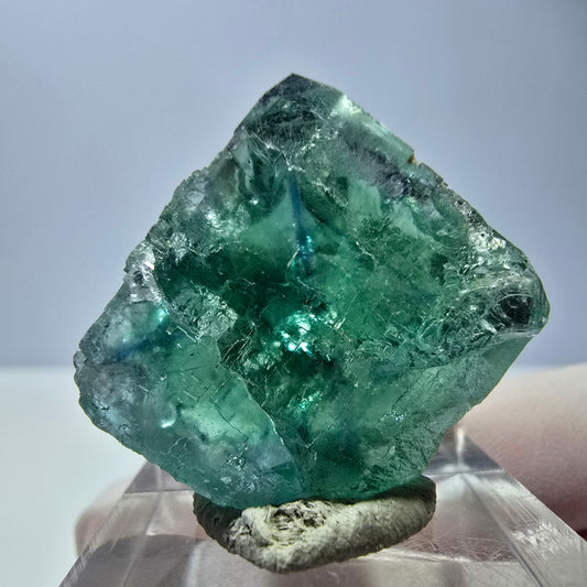 Cube de fluorite fantôme transparente parquetée, vert Okorusu, Namibie 23 x 22 x 15 mm 