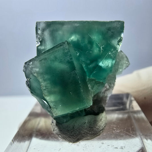 Spécimen de cube de fluorite fantôme, parquet vert Okorusu, Namibie 23 x 22 x 13 mm 