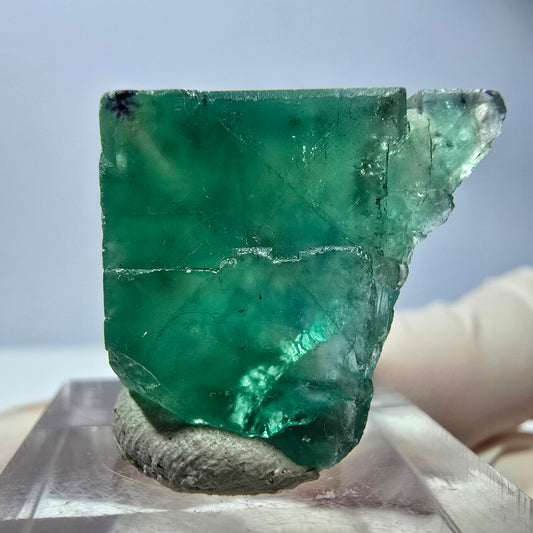 Cube de fluorite fantôme transparente parquetée, vert Okorusu, Namibie 22 x 21 x 19 mm 