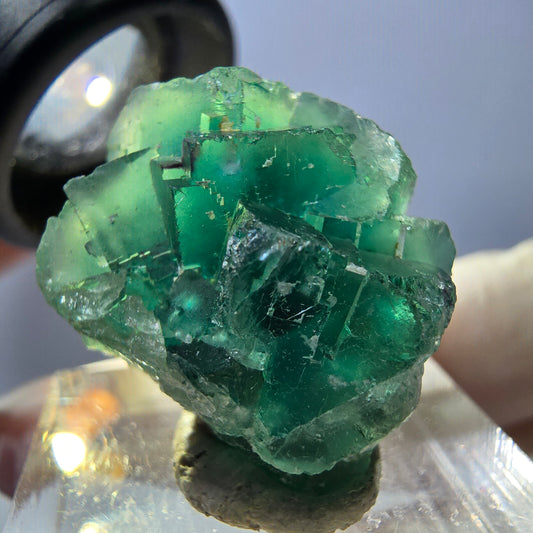 Rare spécimen de cube de fluorite fantôme, vert Okorusu, Namibie 22 x 21 x 13 mm 