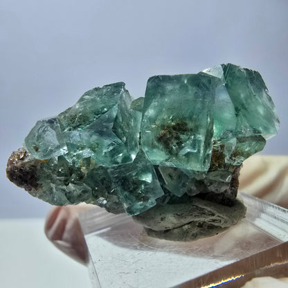 Seltene Phantom Fluorit Würfel Stufe, grün Okorusu, Namibia 34*27*21mm