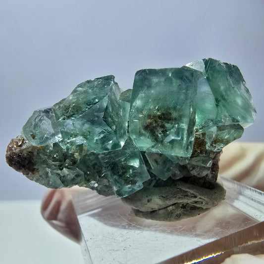 Rare spécimen de cube de fluorite fantôme, vert Okorusu, Namibie 34 x 27 x 21 mm 