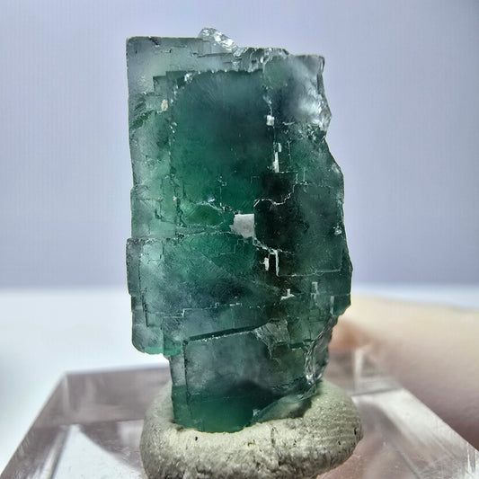 Cube de fluorite fantôme transparente parquetée, vert Okorusu, Namibie 26 x 19 x 16 mm 