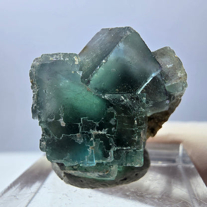Spécimen de cube de fluorite fantôme, parquet vert Okorusu, Namibie 25 x 20 x 15 mm 