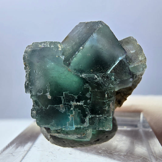 Spécimen de cube de fluorite fantôme, parquet vert Okorusu, Namibie 25 x 20 x 15 mm 