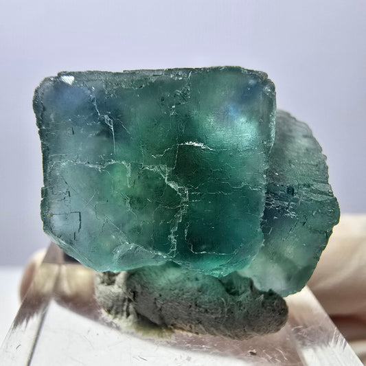 Spécimen de cube de fluorite fantôme, parquet vert Okorusu, Namibie 28*23*16 mm 