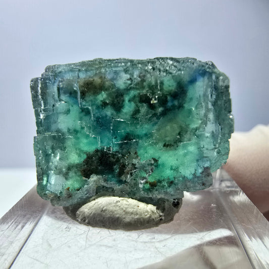 Cube de fluorite fantôme transparente parquetée, vert Okorusu, Namibie 21 x 18 x 17 mm 