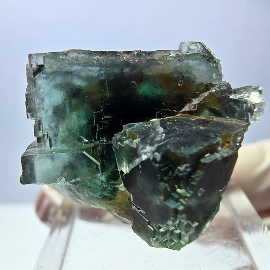 Rare spécimen de cube de fluorite fantôme, vert Okorusu, Namibie 27 x 23 x 20 mm 