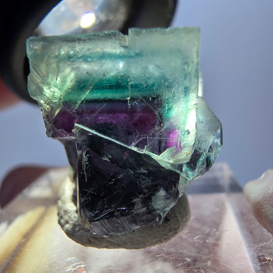 Spécimen de cube de fluorite fantôme, parqueté vert violet Okorusu, Namibie 19 x 18 x 15 mm 