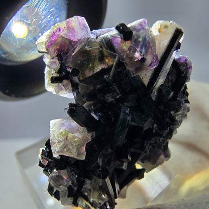 Spécimen de fluorite fantôme colorée, tourmaline scholle, muscovite, Erongo, Namibie, 28 x 30 x 19 mm 
