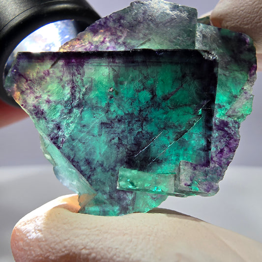Spécimen de cube de fluorite fantôme, parqueté vert violet Okorusu, Namibie 49*30*22 mm 