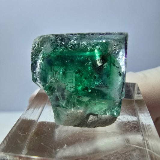 Cube de fluorite fantôme transparente parquetée, vert Okorusu, Namibie 20 x 17 x 17 mm 