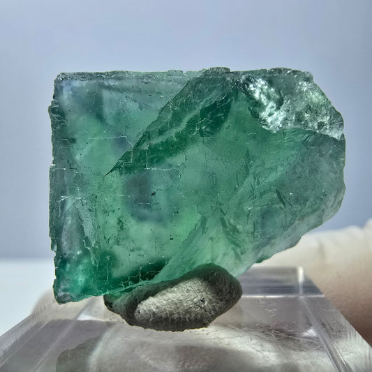 Cube de fluorite fantôme transparente parquetée, vert Okorusu, Namibie 28 x 21 x 10 mm 