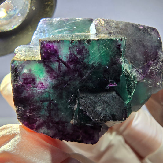 Spécimen de cube de fluorite fantôme parqueté vert violet Okorusu, Namibie 42*38*25mm 