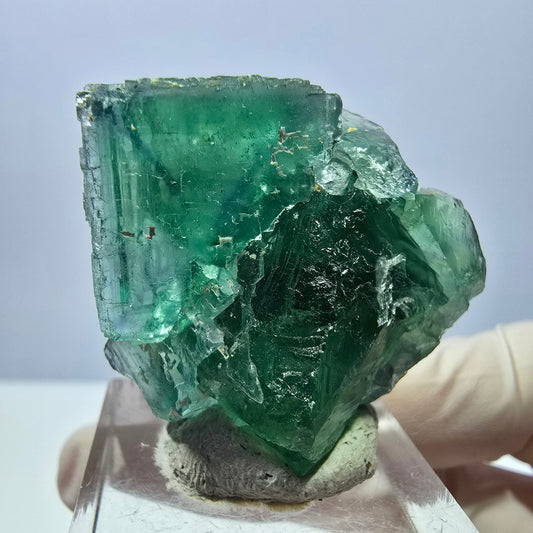Spécimen de cube de fluorite fantôme, parquet vert Okorusu, Namibie 36 x 36 x 18 mm 