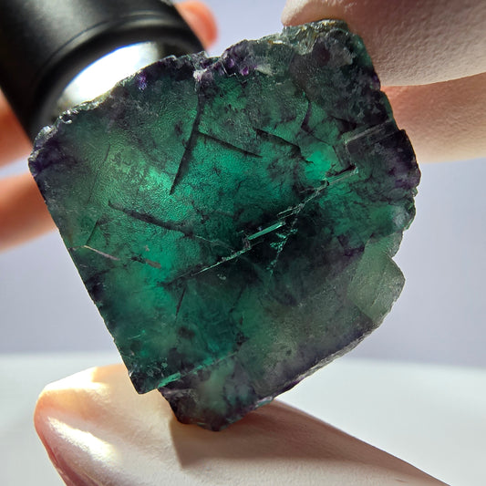 Spécimen de cube de fluorite fantôme parqueté vert violet Okorusu, Namibie 34*31*24mm 