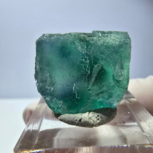 Cube de fluorite fantôme transparente parquetée, vert Okorusu, Namibie 21 x 20 x 19 mm 
