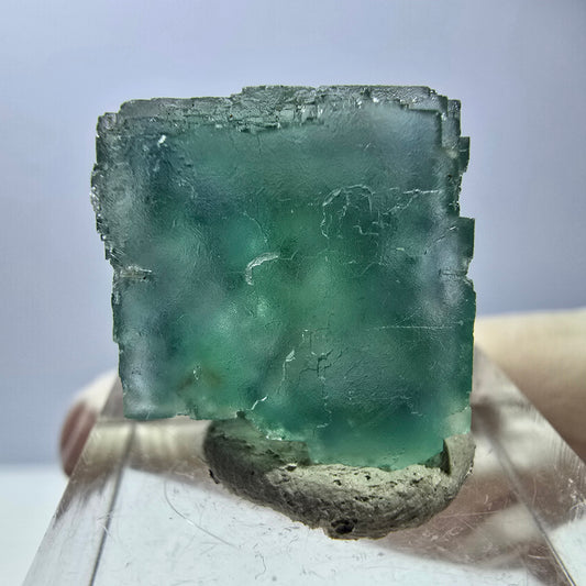 Cube de fluorite fantôme transparente parquetée, vert Okorusu, Namibie 19 x 18 x 15 mm 