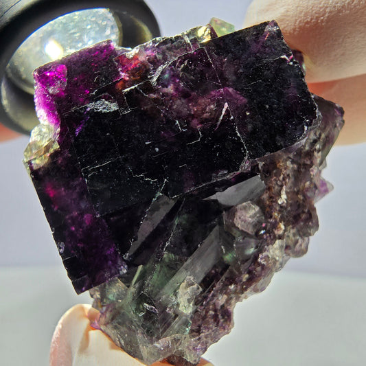 Spécimen de cube de fluorite fantôme parqueté vert violet Okorusu, Namibie 38*36*21 mm 