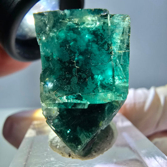 Phantom Fluorit Würfel Stufe, grün parkettiert Okorusu, Namibia 27*25*17mm
