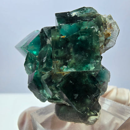 Spécimen de cube de fluorite fantôme, parquet vert Okorusu, Namibie 34 x 37 x 22 mm 