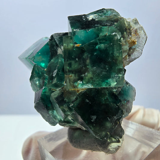 Spécimen de cube de fluorite fantôme, parquet vert Okorusu, Namibie 34 x 37 x 22 mm 