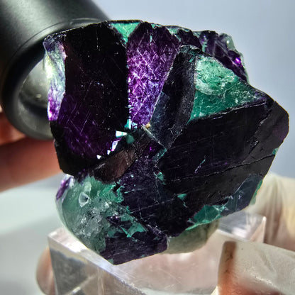 Phantom Fluorit Würfel Stufe grün lila zonal 11:11 Angel Pocket, Namibia 37*33*28mm
