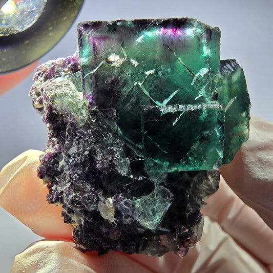 Spécimen de cube de fluorite fantôme parqueté vert violet Okorusu, Namibie 41*34*26mm 