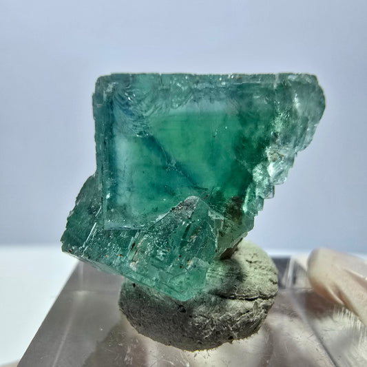 Spécimen de cube de fluorite fantôme, parquet vert Okorusu, Namibie 22 x 21 x 16 mm 