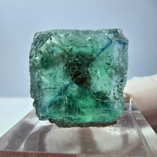 Cube de fluorite fantôme transparente parquetée, vert Okorusu, Namibie 19 x 19 x 15 mm 