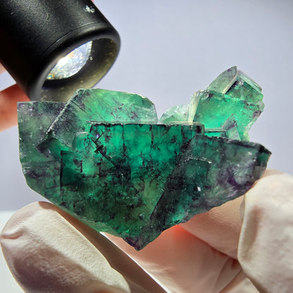 Spécimen de cube de fluorite fantôme parqueté vert violet Okorusu, Namibie 46*34*32mm 