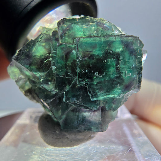 Spécimen de cube de fluorite fantôme, parqueté vert violet Okorusu, Namibie 27*24*17 mm 