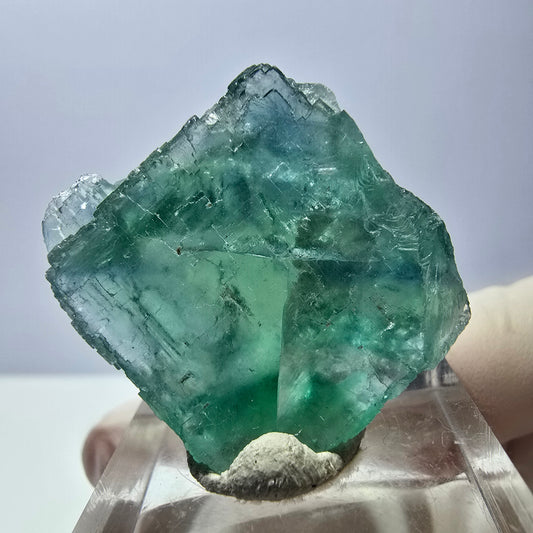 Cube de fluorite fantôme transparente parquetée, vert Okorusu, Namibie 28 x 25 x 14 mm 