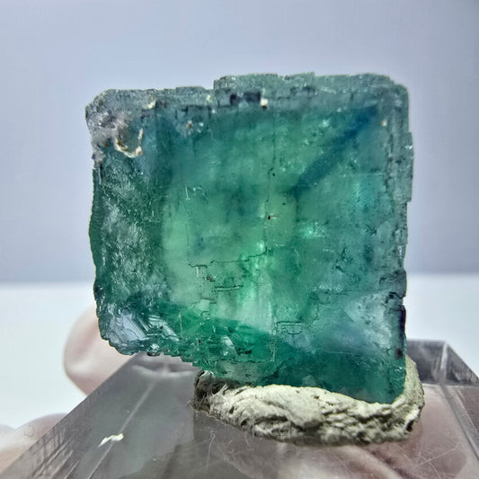 Cube de fluorite fantôme transparente parquetée, vert Okorusu, Namibie 22 x 20 x 18 mm 
