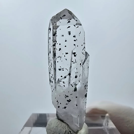 Quartz hématite transparent Point Streep Mine, Goboboseb, Namibie 34 x 9 x 9 mm 