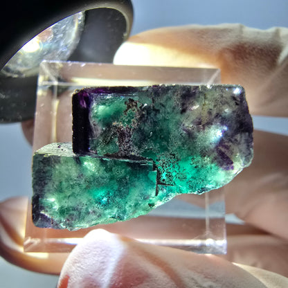 Spécimen de cube de fluorite fantôme, parqueté vert violet Okorusu, Namibie 25*18*14 mm 
