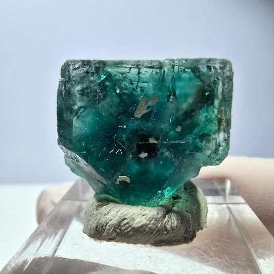 Cube de fluorite fantôme transparente parquetée, vert Okorusu, Namibie 23 x 20 x 16 mm 