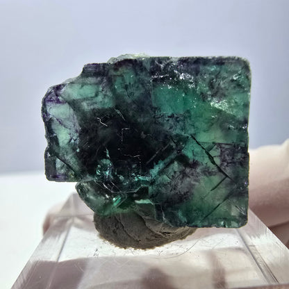 Phantom Fluorit Würfel parkettiert, grün lila Okorusu, Namibia 22*22*11mm