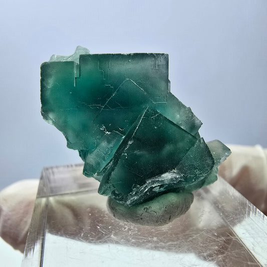 Spécimen de cube de fluorite fantôme, parquet vert Okorusu, Namibie 30 x 18 x 14 mm 