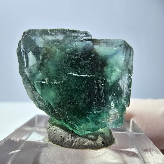Cube de fluorite fantôme transparente parquetée, vert Okorusu, Namibie 20 x 19 x 15 mm 