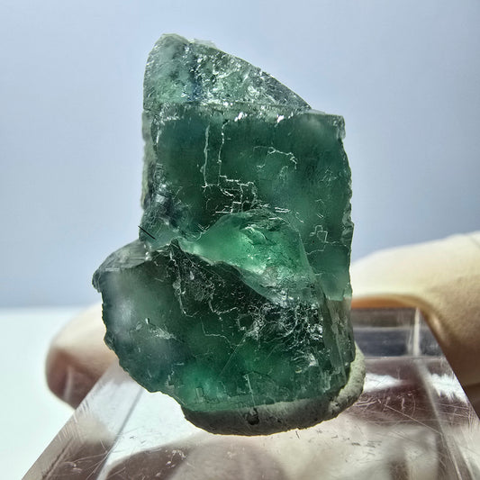 Spécimen de cube de fluorite fantôme, parquet vert Okorusu, Namibie 30 x 20 x 13 mm 
