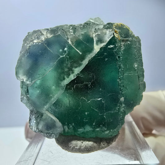 Rare spécimen de cube de fluorite fantôme, vert Okorusu, Namibie 41 x 37 + 21 mm 