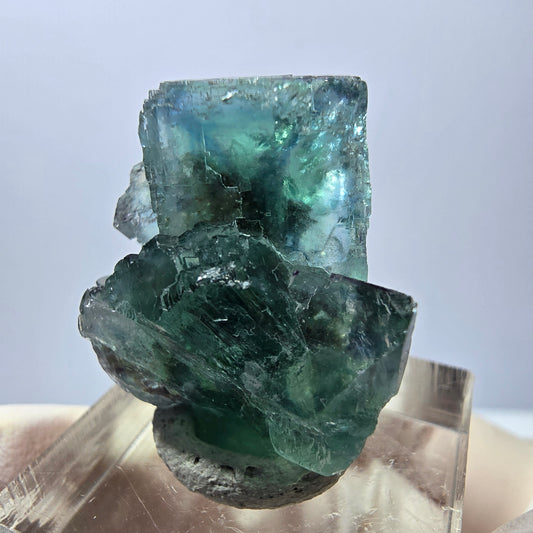 Spécimen de cube de fluorite fantôme, parquet vert Okorusu, Namibie 28 x 21 x 15 mm 