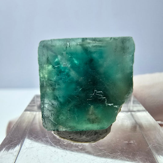 Cube de fluorite fantôme transparente parquetée, vert Okorusu, Namibie 15 x 15 x 13 mm 