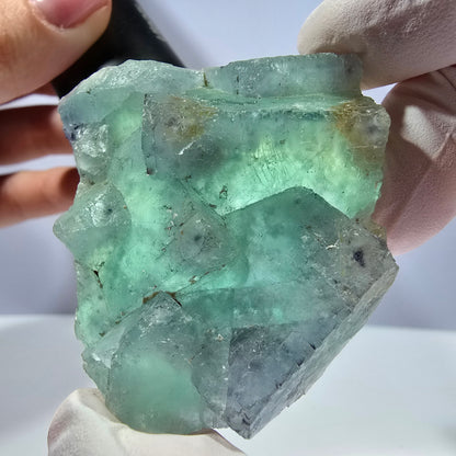 Rare spécimen de cube de fluorite fantôme, parqueté vert Okorusu, Namibie, 51 x 47 x 21 mm 