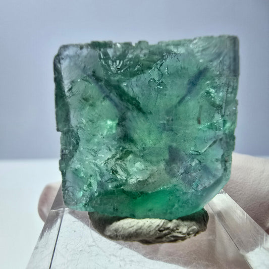 Cube de fluorite fantôme transparente parquetée, vert Okorusu, Namibie 22 x 22 x 17 mm 