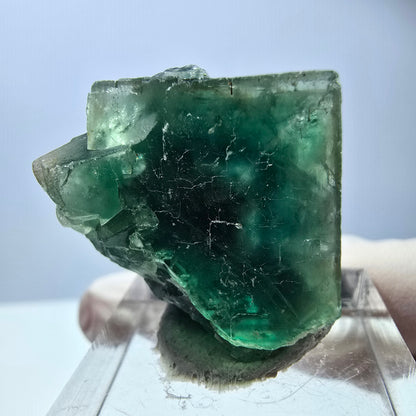 Phantom Fluorit Würfel Stufe, grün lila Okorusu, Namibia 27*25*17mm
