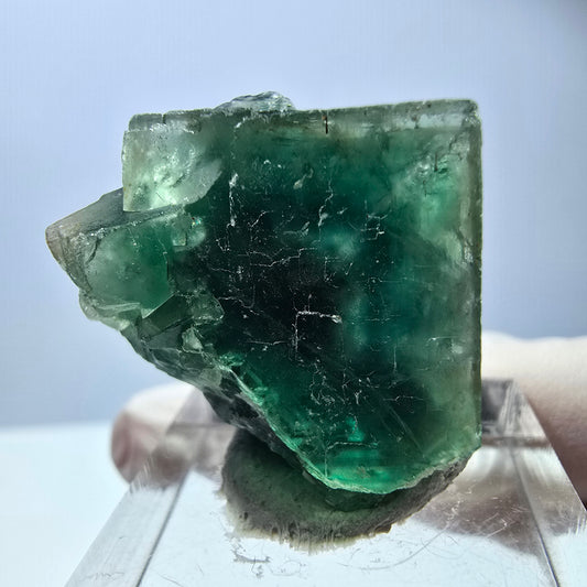 Spécimen de cube de fluorite fantôme, vert violet, Okorusu, Namibie, 27 x 25 x 17 mm 